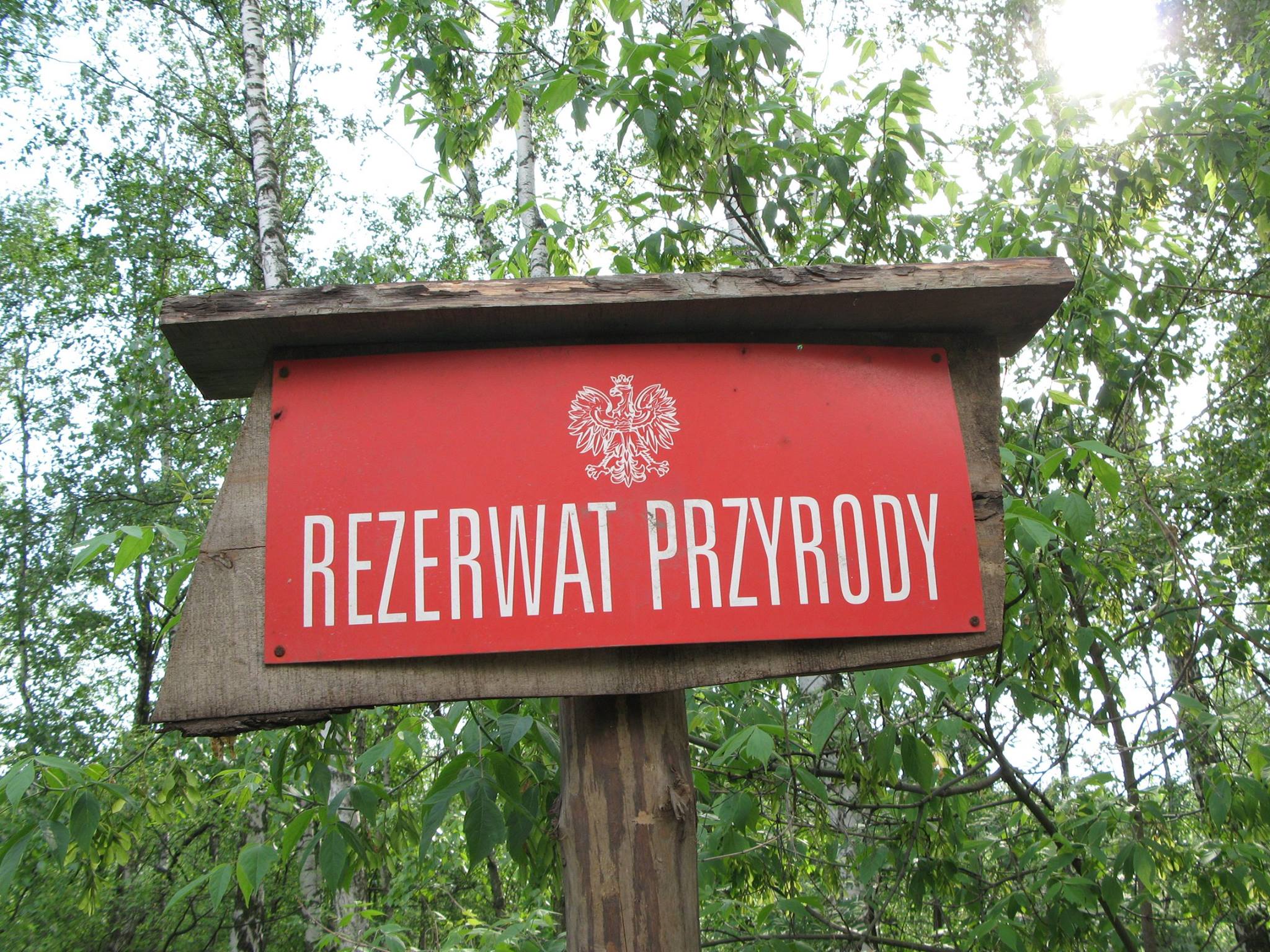 Indywidualna Ochrona Przyrody Ochrona przyrody w Polsce